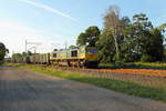 Die Class 66 der Freightliner PL (3 650 004-6 FPL) mit firmeneigenem Ganzzug am 27.06.2016 in Nassenheide.