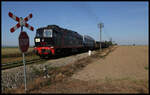 Mit einem kurzen Güterzug sind 232-448 und 232-537 am 9.9.2021 um 9.52 Uhr bei Niedaszow nach Rogocznica unterwegs.