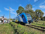 Der Dieseltriebzug SA136-003 passiert auf seinem Weg nach Stettin einen kleinen Markt in Kołobrzeg (Kolberg).