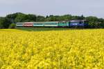 ST44 - 1215 (PKP Cargo) und EP07 - 089 mit Umleiter I-85100 bei Suliszewo (15.05.2009)