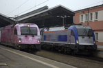PKP Intercity 5 370 009 und 5 370 001 im verwaschenen Telekomstyle eintrchtig nebeneinander abfahrbereit in Poznan/Polen.