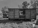 Ende September 2024 war in Koszalin (Köslin) dieser gedeckte Güterwagen abgestellt.