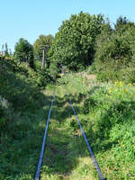 Im Bild das letzte Teilstück der Schmalspurstrecke bis zum Bahnhof in Koszalin (Koslin), so gesehen Anfang September 2024.