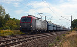 193 509 rollte mit einem PKP-Kohlezug am heißen 28.08.16 durch Greppin Richtung Dessau.