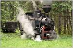 Wie auf anderen Waldbahnen werden auch hier die Wagen mit einer Kette ins Nachbargleis gezogen, damit die Lok für die Rückfahrt wieder an der Zugsspitze steht. Ab Streckenende wurde die Weiche in Rückwärtsfahrt erreicht und ab hier bis Comandau zieht die 764.243 den Wagen wieder 9km durch den dichten Wald.(15.06.2017)