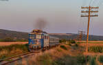 60 1017 mit dem R 5481 (Bacau - Bicaz) bei Podoleni 14.8.24
