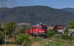 60 9011 und 65 1014 mit einem E-Wagenzug nach Bicaz bei Straja 15.8.24