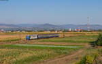 60 1272 mit dem R 5462 (Piatra Neamt - Bacau) bei Zanesti Neamt 16.8.24