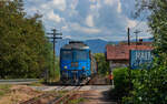 60 1356 mit dem R 4655 (Viseu de Jos - Sighetu Marmatiei) am Haltepunkt Crăciunesti 20.8.24
