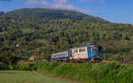 60 1356 mit dem R 4652 (Sighetu Marmatiei - Viseu de Jos) bei Valia Vysheului 21.8.24