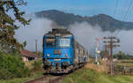 60 1356 mit dem R 4652 (Sighetu Marmatiei - Viseu de Jos) bei Leordina 23.8.24