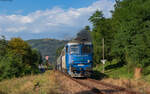 62 0741 mit dem R 4116 (Sighetu Marmatiei - Beclean pe Somes / Bucuresti Nord) bei Viseu de Jos 21.8.24
