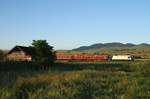 64 1013 zog am Morgen des 30.06.16 den IR1741 von Bucaresti Nord nach Satu Mare und konnte westlich von Huedin abgelichtet werden.