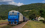 64 1019 mit dem R 4116 (Sighetu Marmatiei - Beclean pe Somes / Bucuresti Nord) im Bahnhof Valea Vișeului 22.8.24  