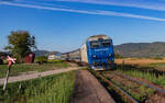 64 1019 mit dem IRN 1642 (Satu Mare - Bucuresti Nord) am Haltepunkt Alunis Sălaj 25.8.24