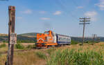 82 0374 mit dem R 5465 (Bacau - Piatra Neamt) bei Podoleni 14.8.24