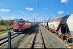 480 022-9 (91 53 0 480 022-9 RO-DBSR | Softronic Transmontana) lässt mit Containern den IR 75 Curtici–Brașov im Bahnhof Vărădia (RO) an sich vorbeiziehen, aus dessen letzten