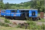 L45H 87-0032-0 in Viseu de Sus. (11.06.2017)