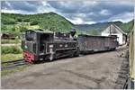 764.449  Joana  mit G 102. Dieser Wagen läuft auf der Bergfahrt jeweils hinter der Lok und führt den beachtlichen Vorrat von Feuerholz für die Dampfloks mit. Viseu de Sus. (11.06.2017)