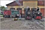 87-0045-5, 87-0033-8. 764.435  Bavaria  und 764.408  Cozia 1  vor dem Depot in Viseu de Sus. (11.06.2017)