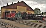 87-0045-5 und  87-0033-8 neben Dampfloks der BR764 vor dem Depot in Viseu de Sus.