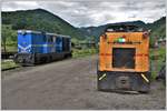 87-0032-0 und L184.003  Cristina  in Viseu de Sus. (11.06.2017)