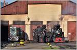 87-0033-8, 764.435  Bavaria  und 764.408  Cozia-1  vor dem Depot in Viseu de Sus.