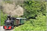 Schon fast Urwaldähnlich mutet der Wald an beim Gleisdreieck in Novicior als 764.211  Maruta  aus dem Grün auftaucht. (13.06.2017)