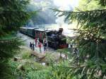 Cozia-1,Nr.764 408,Waldbahnlok der CFF (Caile Ferata Forestiere).Beim Wasserfassen an der Vaser,Maramures.