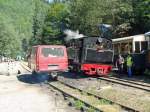 Cozia-1 und Eigenbau Draisine in der Station Paltin.