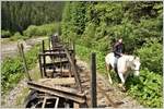 Pferde dienen im unwegsamen Wassertal neben der Bahn immer noch als Fortbewegungsmittel. Foto vom Reiter bewilligt. (12.06.2017)