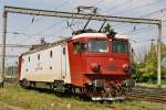 Die Elektrolokomotive 060 EA 008 der Rumnischen Staatsbahn wartet am 18. August 2004 in Brasov, um einen Gterzug nachzuschieben. Bei dieser gut unterhaltenen Maschine handelt es sich um eine der zehn original in Schweden gebauten Loks aus dem Jahre 1965. Spter wurde dieser Typ von Electroputere in Craiova in grosser Zahl in Lizenz nachgebaut und auch nach Jugoslawien und Bulgarien geliefert. ASEA baute nebst den 10 Maschinen fr die CFR sechs baugleiche Maschinen fr die Erzbahn Kiruna-Narvik (El. 15 der NSB).