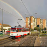 Erste Begegnung mit einer ex Hallenser Tatra in Rumänien: Wagen 1100 vom Typ T4D fährt in die Haltestelle Gară CFR (Hauptbahnhof) in Arad (RO) ein.
Schnappschuss unterm Regenbogen.

🧰 S.C. Compania de transport public S.A. Arad (C.T.P. Arad)
🚋 Linie 15 Piata UTA–Caius Iacob
🕓 11.9.2024 | 18:46 Uhr