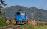 60 1356 mit dem R 4652 (Sighetu Marmatiei - Viseu de Jos) bei Leordin 21.8.24