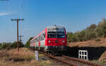 614 022 / 614 021 als R 10310 (Bârlad - Galati) bei Balintesti 18.8.24