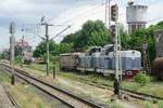 Abgestellte Dieselloks(BR 81 0417-6 u.