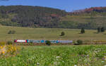 40 0361 mit dem R 4501 (Brasov - Gheorghieni) bei Voslabeni 13.8.24