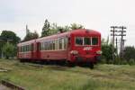 Gro war die Fahrzeugvielfalt an ehemaligen franzsischen Triebwagen  im Raum Lovrin und Jimbolia im Mai 2010.