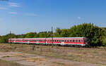 614 074 / 614 073 als R 10303 (Galati - Bârlad) am Haltepunkt Roscani 18.8.24