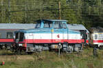 Diesellok Z65 217 wartet in der Nachmittagssonne auf ihren nächsten Einsatz. Kristinehamn, 12.9.2024