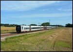 Der Öresundståg X31K/ET 4571 ist am 13.08.2024 südlich von Ängelholm auf dem Weg von Göteborg nach Kopenhagen.