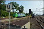 Am 17.08.2024 ist der Öresundståg 4383 auf dem Weg von Malmö nach Kalmar, als er in den Bahnhof Älmhult einfährt.