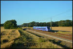 Skånetrafiken X61 001 am 12.08.2024 südlich von Ängelholm bei km 223 auf der Fahrt von Förslöv nach Helsingborg C.