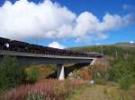 Dm3 mit leeren Erzzug von Narvik nach Kiruna passiert am 01.09.2007 die Betonbrcke vor der Bedarfshaltestelle Ssterbekk, schn ist die beginnende Herbststimmung, und, was man nicht sieht, die vielen