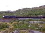 Beladener Erzug nach Narvik mit IORE 115  Stenbacken  und 116  Stordalen  am 30.08.2007 fhrt ber die 1.Neubau-Betonbrcke bei der Bedarfshaltestelle Ssterbakk.