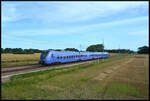 Skånetrafiken X61 003 am 13.08.2024 südlich von Ängelholm bei km 223 auf der Fahrt von Förslöv nach Helsingborg C.