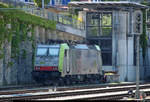 Re 486 507-7 der BLS Cargo AG (BLSC) ist im Bahnhof Spiez (CH) abgestellt.
Aufgenommen im Gegenlicht von Bahnsteig 4/5.
[24.7.2019 | 15:45 Uhr]