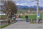 Ein eiliger Radfahrer. Zu seiner Entlastung ist zu bemerken, dass sich die Schranke hebt, aber in einem Schneckentempo, dass man schon ungeduldig werden kann. Bei Schaanwald im Fürstentum Liechtenstein. (29.03.2016)