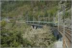 Durch den Mastenwald auf dem Luogelkin-Viadukt fahren zwei  Ltschberger  Richtung Brig.
4. Mai 2013