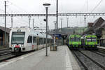 BLS: S 6 nach Luzern, S 2 nach Laupen sowie S 4 nach Thun am sehr trüben 11.